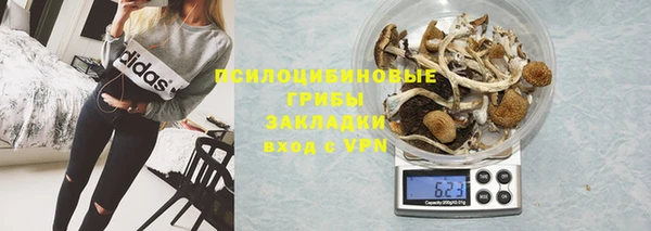 твердый Медногорск