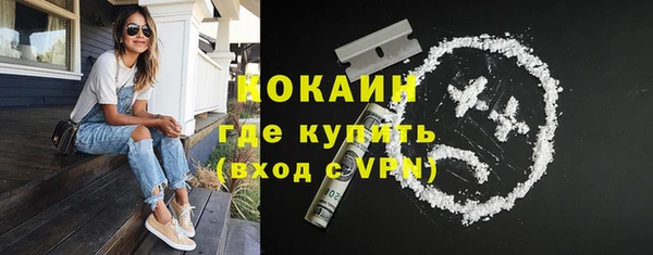 твердый Медногорск