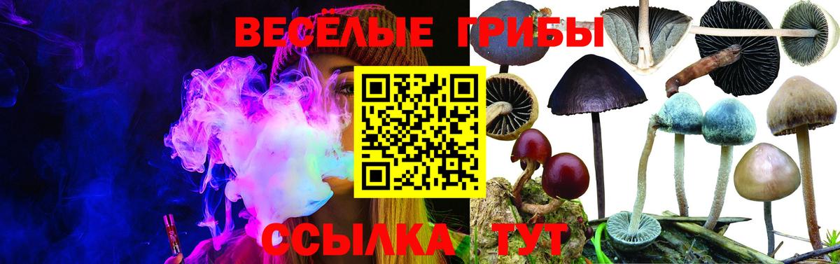Галлюциногенные грибы GOLDEN TEACHER  Вход с VPN  Нижнекамск  Псилоцибиновые грибы мухоморы 